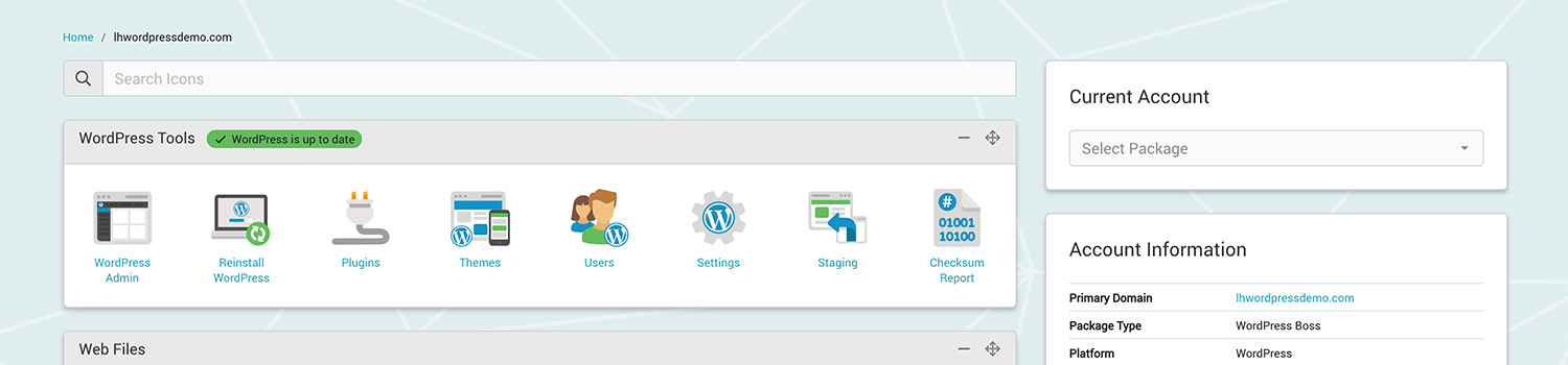 Screenshot of WordPress icons in LyricalCP