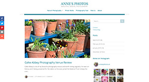 Screenshot of Anne's website