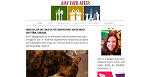 Screenshot of Amy Ever After