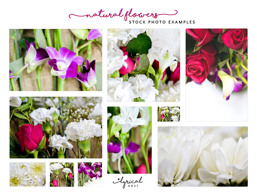 Natural Flowers Collection Stock Photo Preview