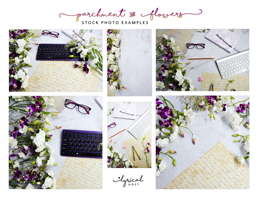 Parchment & Flowers Stock Photo Collection Preview