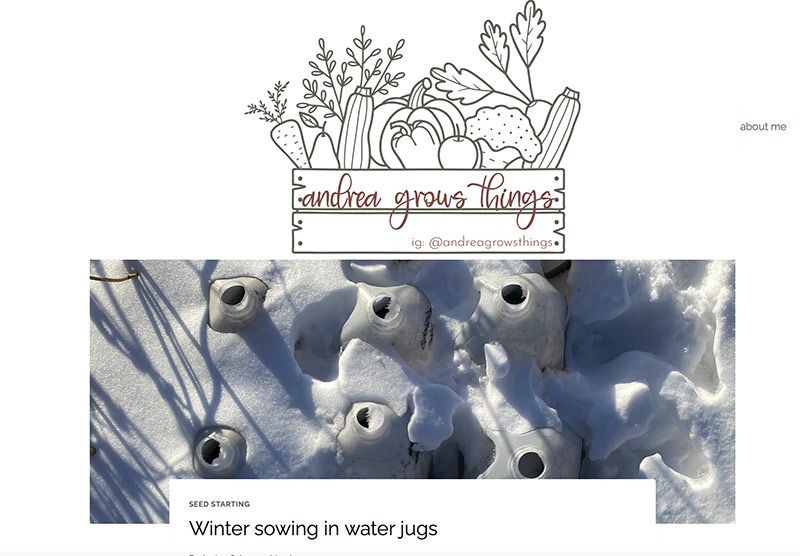 winter-sowing-water-jugs-in-snow-on-andrea-grows-things-blog
